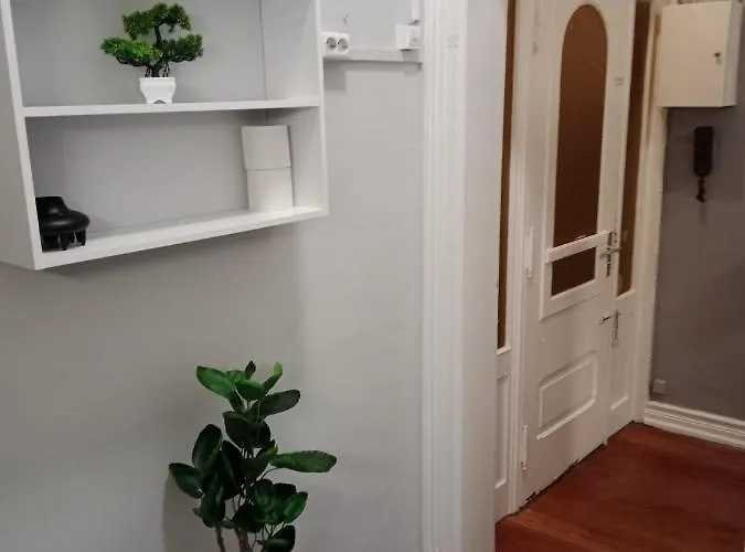 Appartement Zentrum 1 3 M R